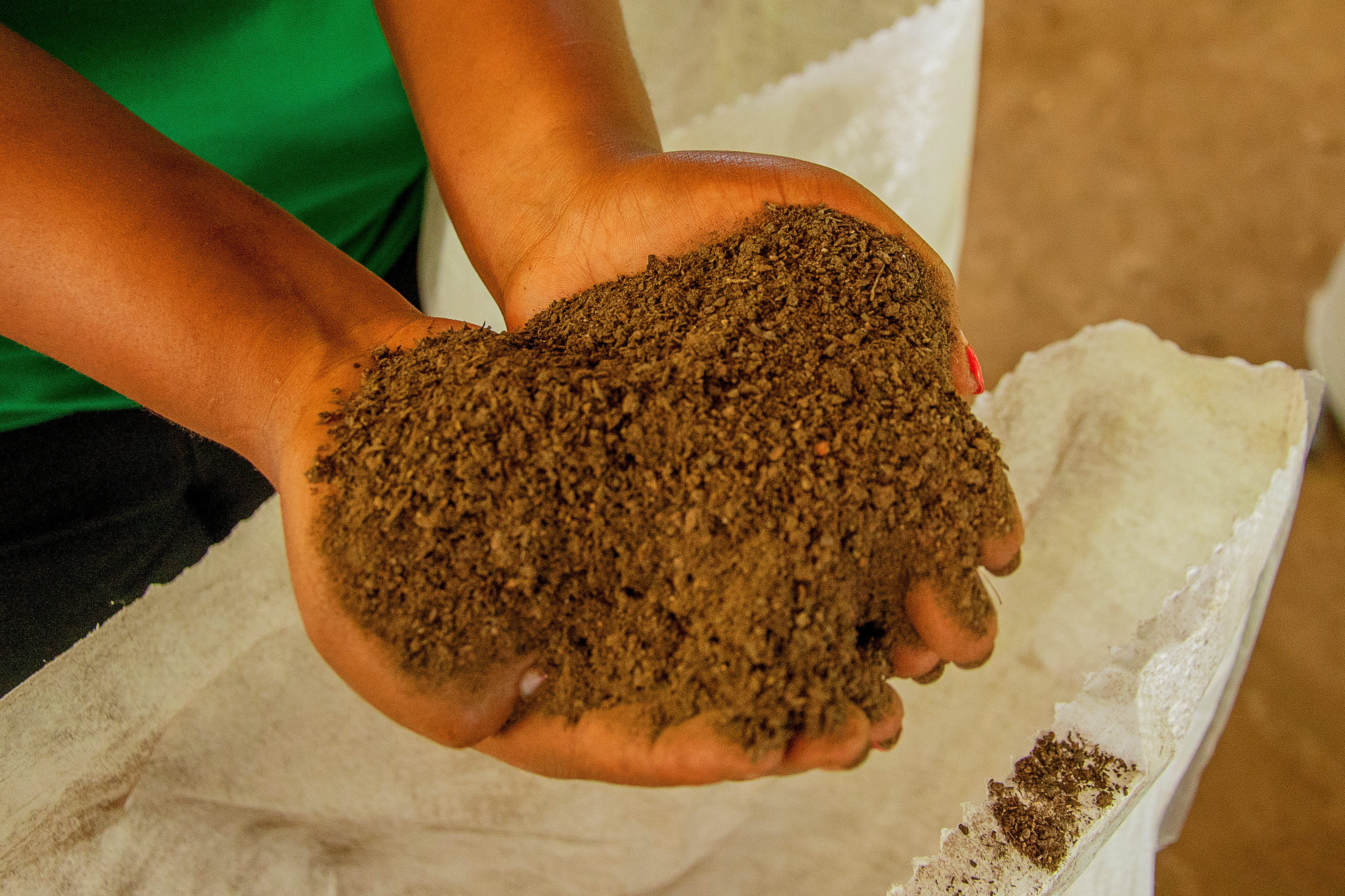 Processing chicken manure into organic fertilizer
